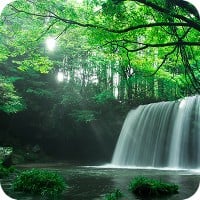 Peaceful waterfall and trees
