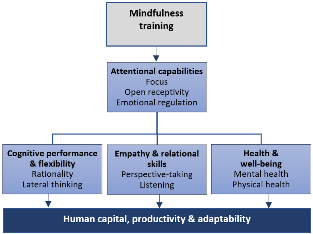 Mindfulness Training chart with paths to Human capital, productivity & adaptability