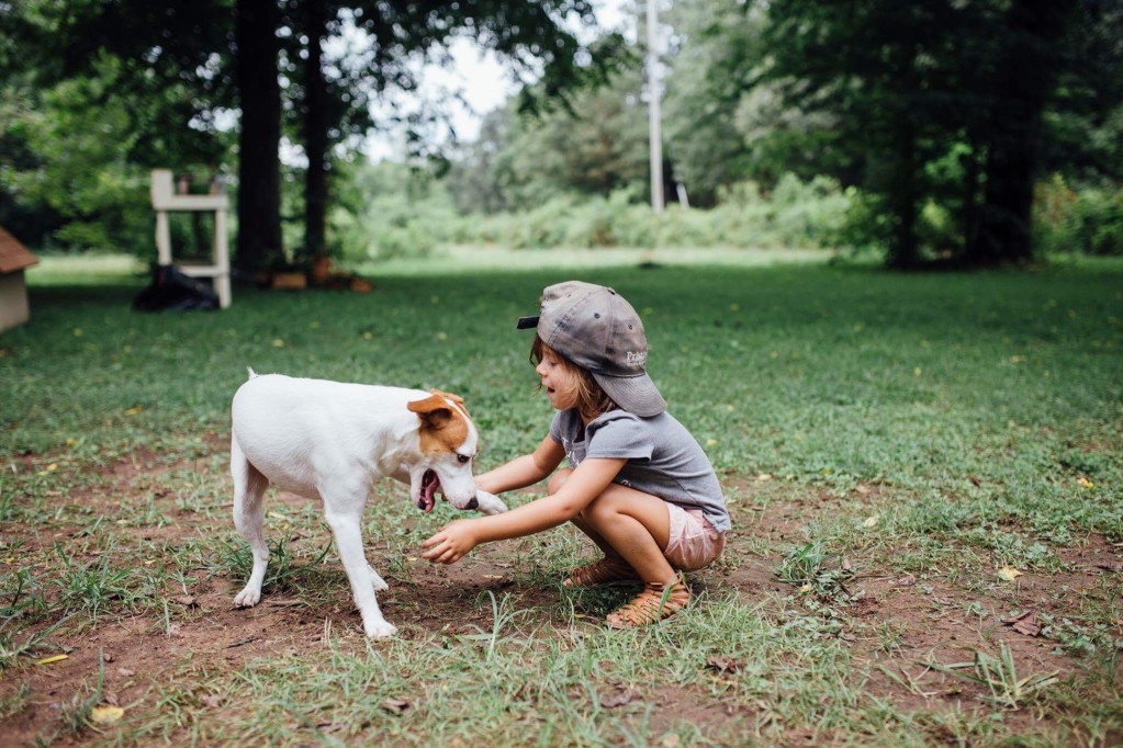 Boy playing with a dog