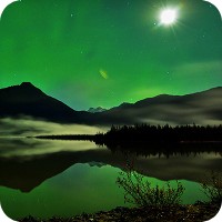 Green natural landscape at night