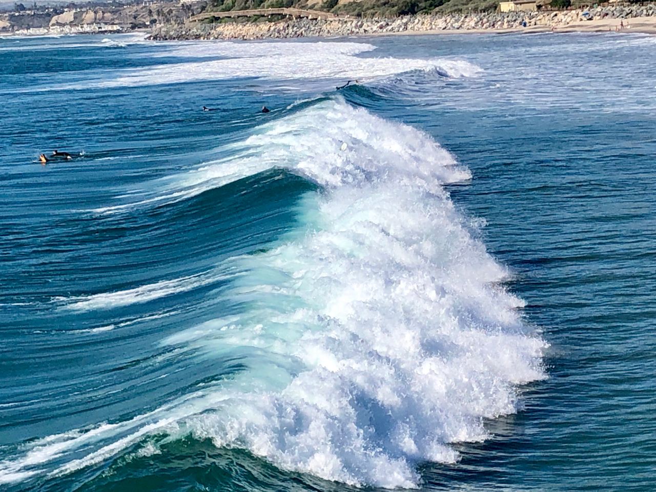 Wave in the ocean