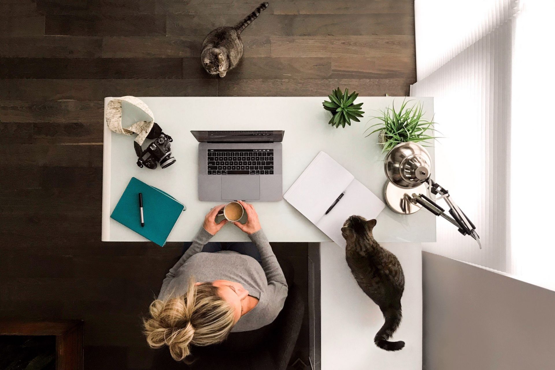 woman working at her desk with kitties t20 3Q1pbN